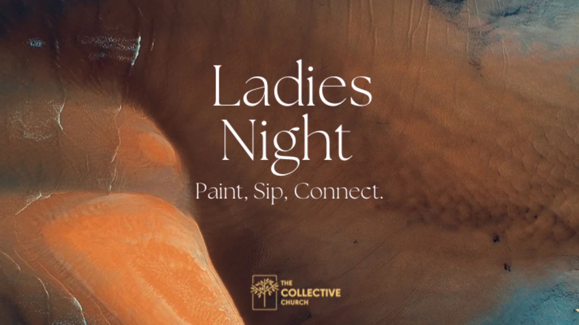 Ladies Paint & Sip logo