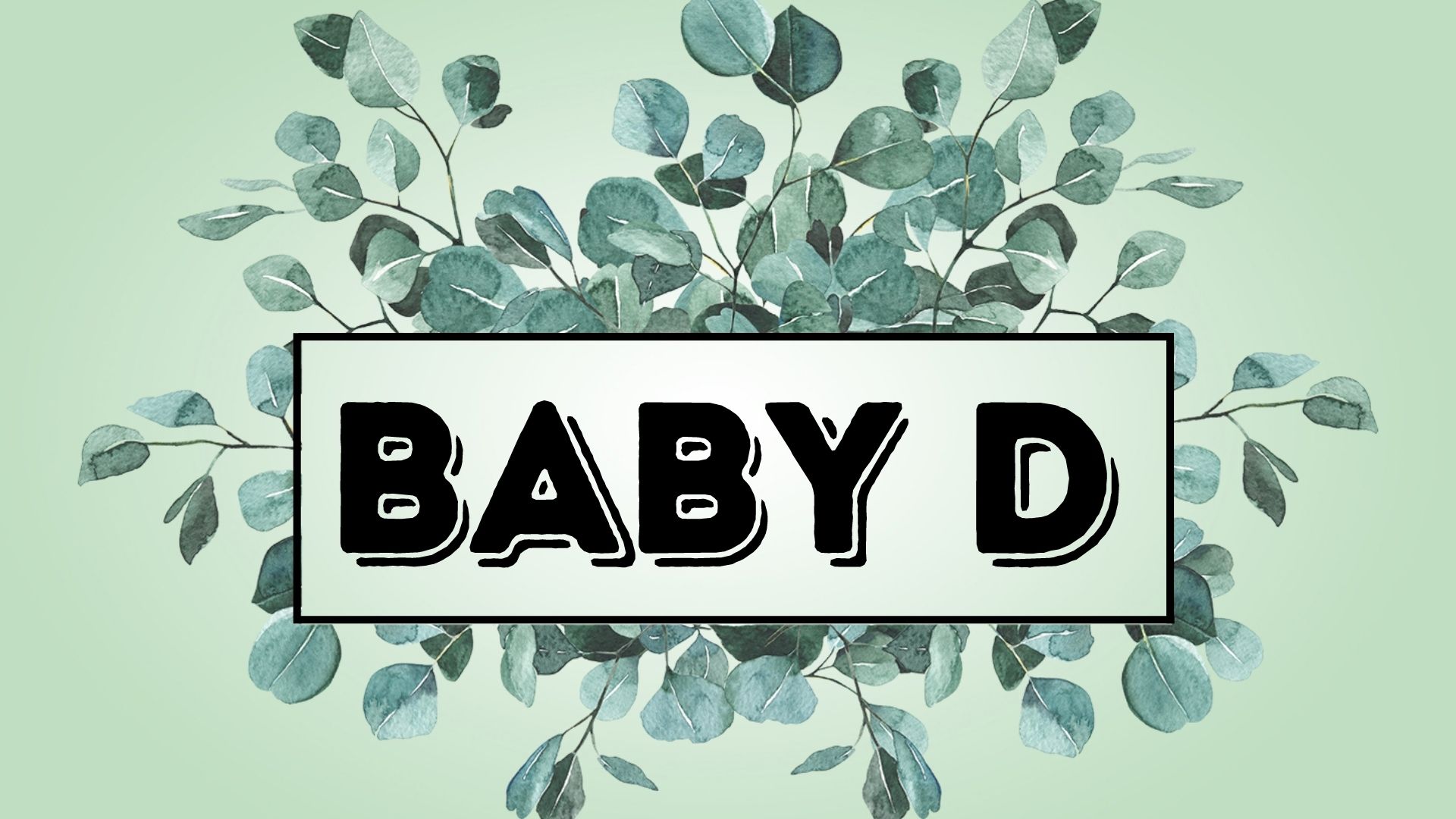 Spring Baby D logo
