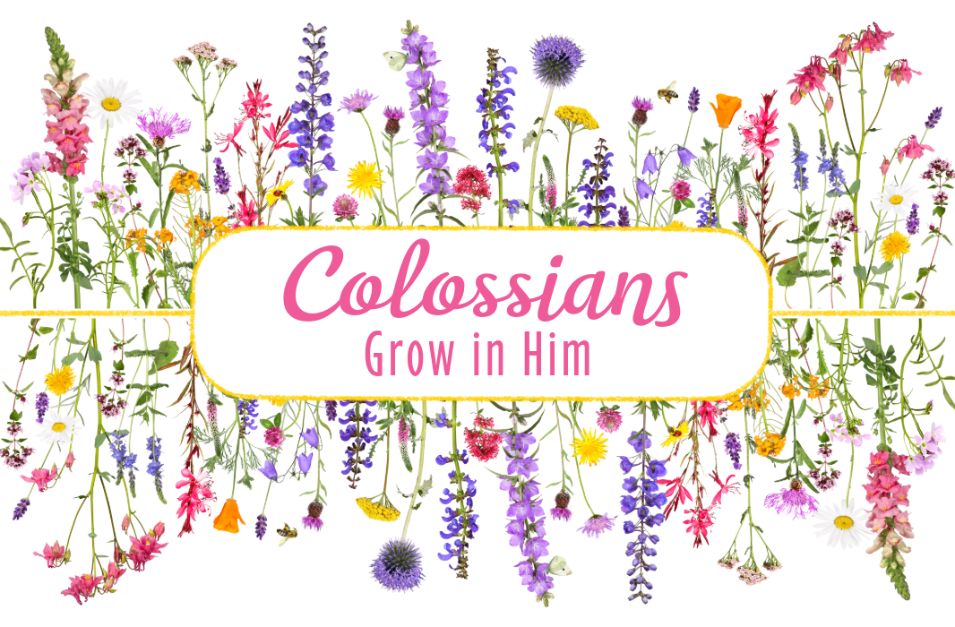 W2W: Colossians Bible Study Community Group Fall 2026 logo