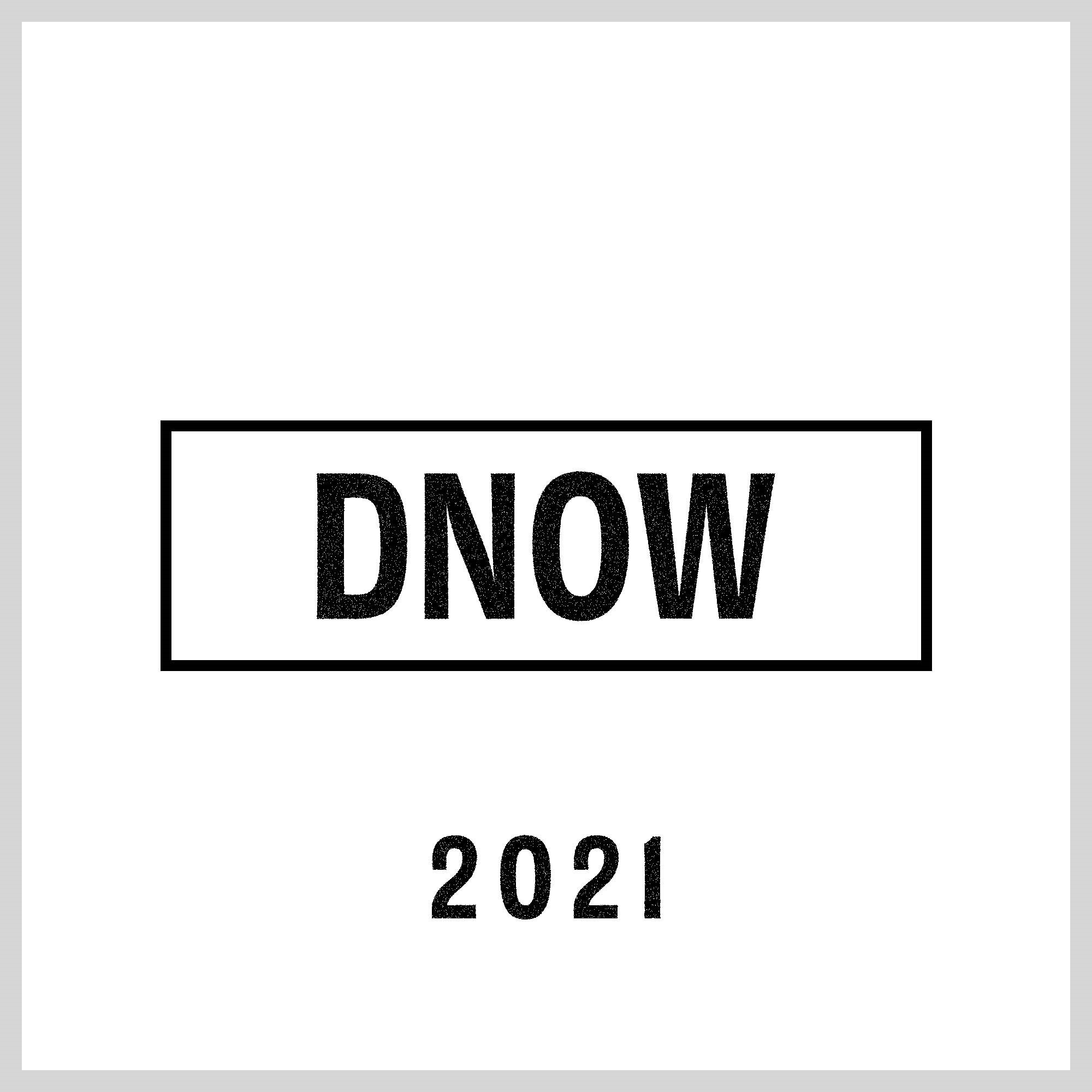 DNOW 2021 logo