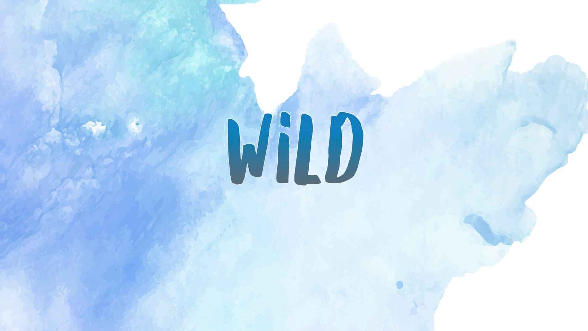 WiLD (Women In Leadership Development) Study at NCC logo