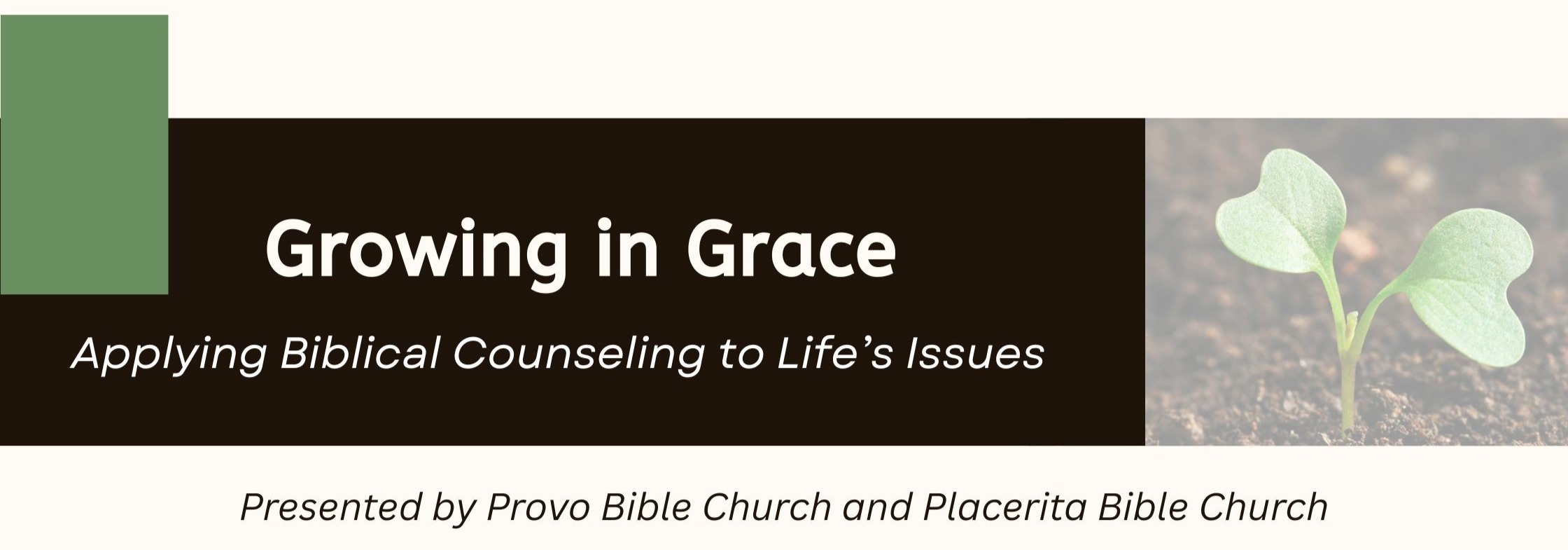 Biblical Counseling Conference 2026 logo