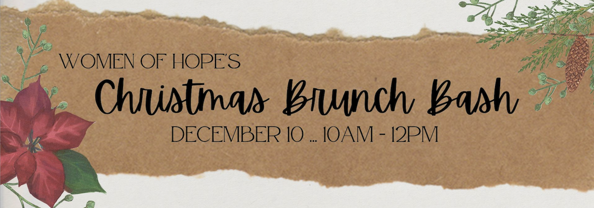 Ladies Christmas Brunch Bash logo