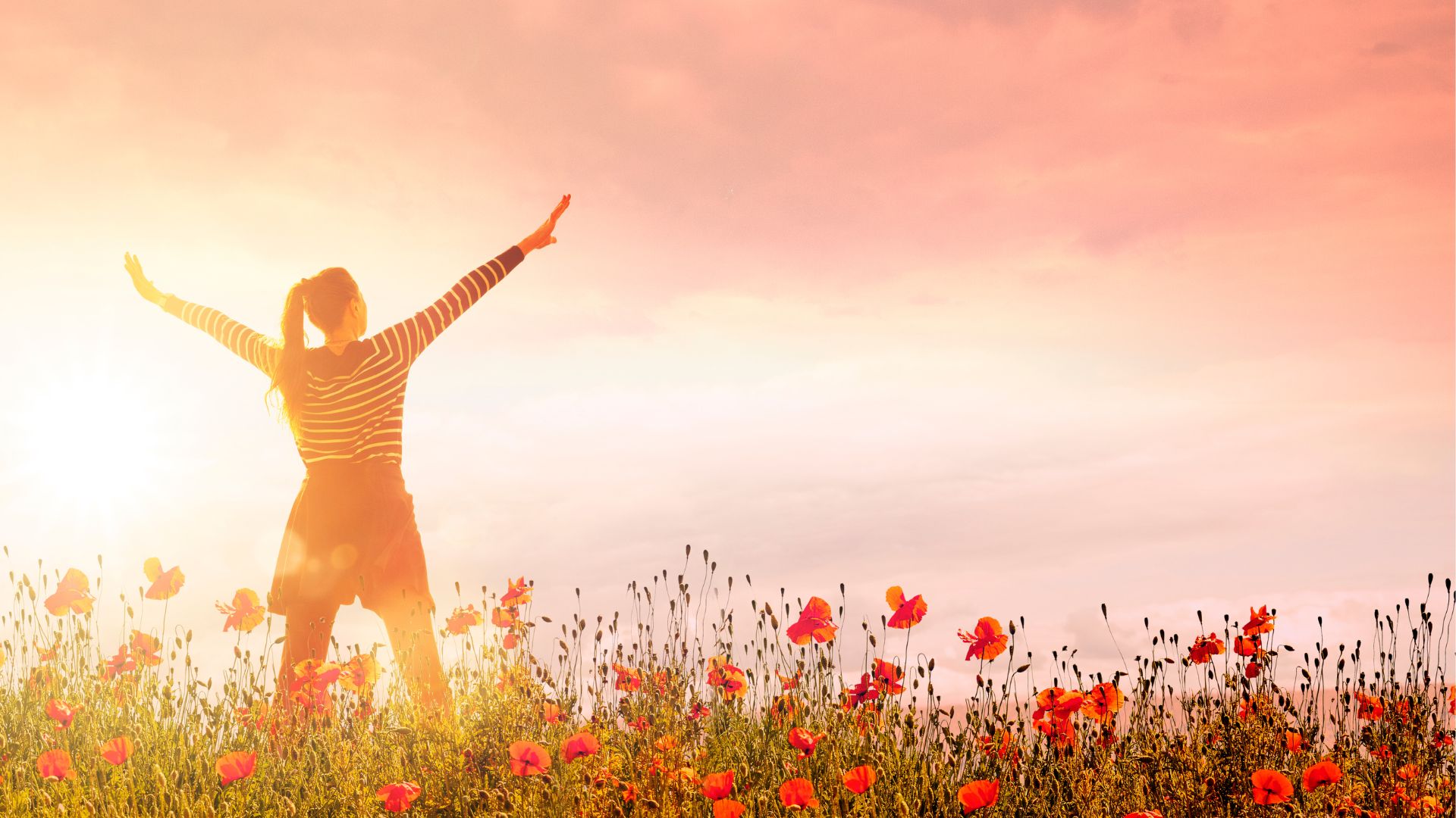 SNS: Body Wonder logo