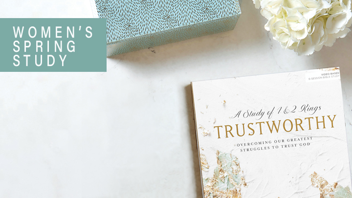 Women's Bible Study- Trustworthy w/ Lysa Terkeurst logo