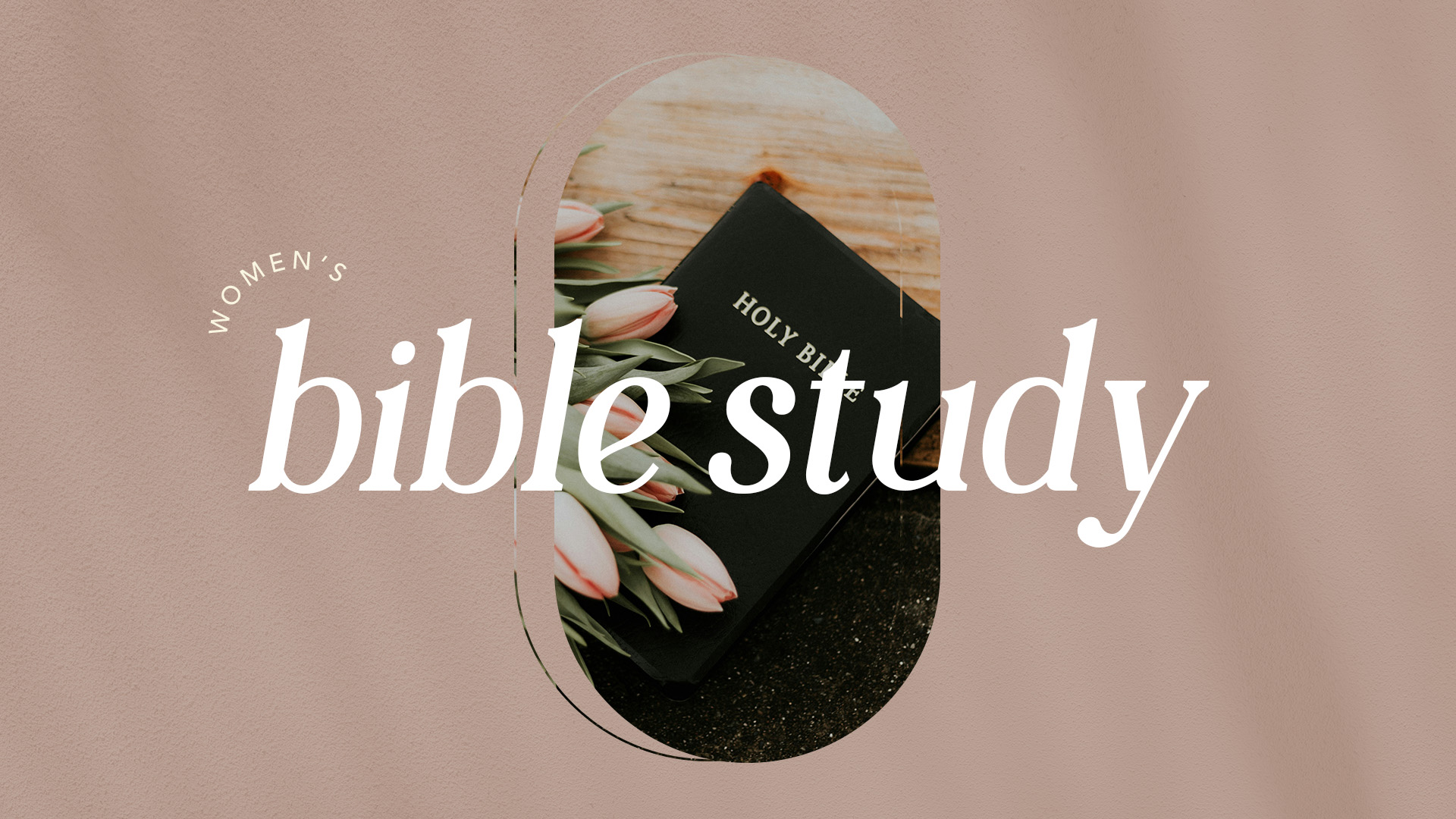Women's Winter Bible Study 2026 logo