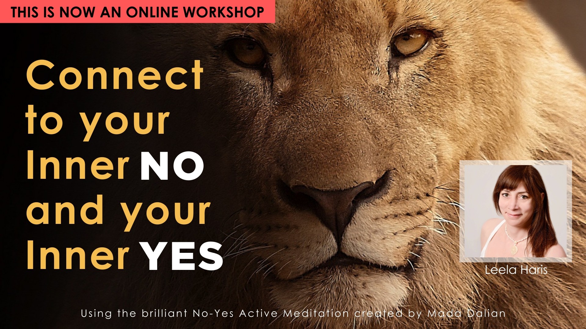 Connect to Your Inner NO and Your Inner YES Workshop logo