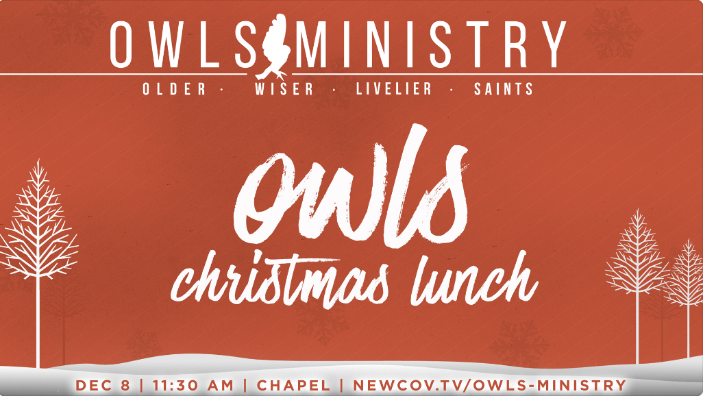 OWLS Christmas Lunch logo